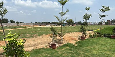Roots Courtyard 2 - Construction Update - july 2025
